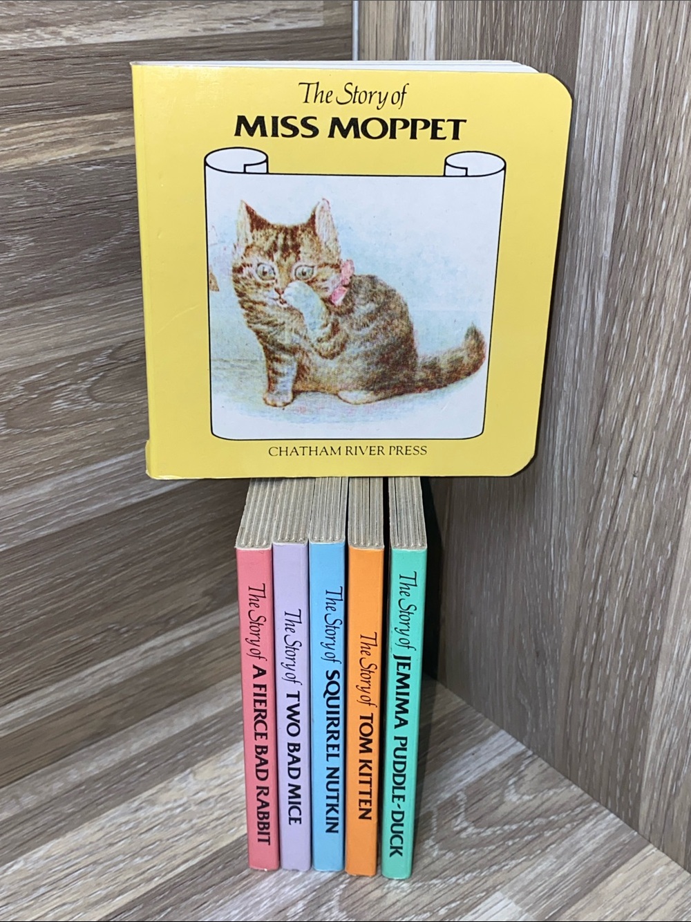 Beatrix Potter mini-books By Chatham River Press mini books purse book